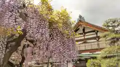 慈眼寺(京都府)