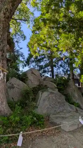 和貴宮神社(京都府)