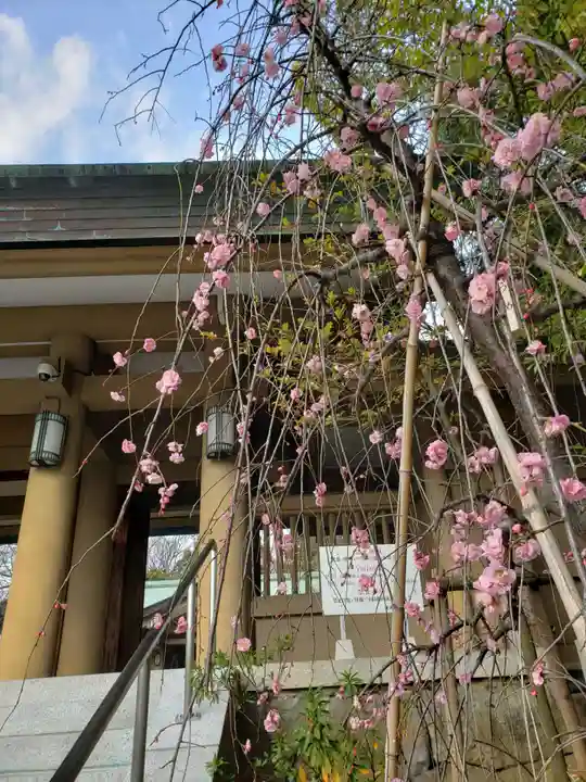 東郷神社の自然