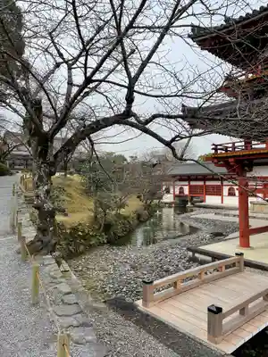 平等院(京都府)