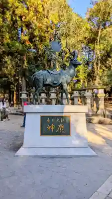 夫婦大國社(春日大社末社)(奈良県)