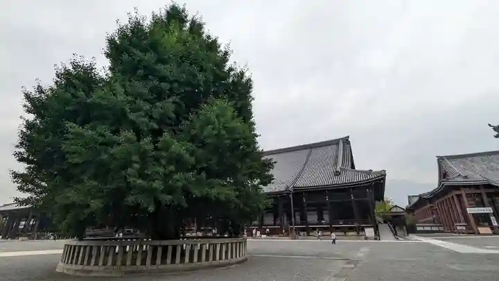 本願寺(西本願寺)(京都府)