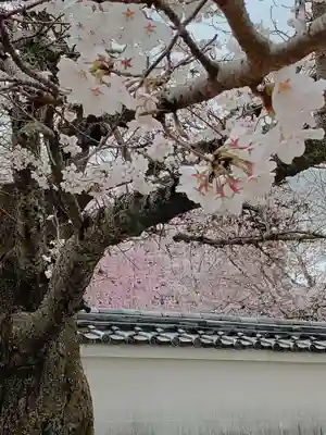 醍醐寺(京都府)