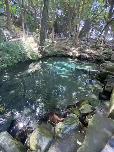 泉神社(茨城県)