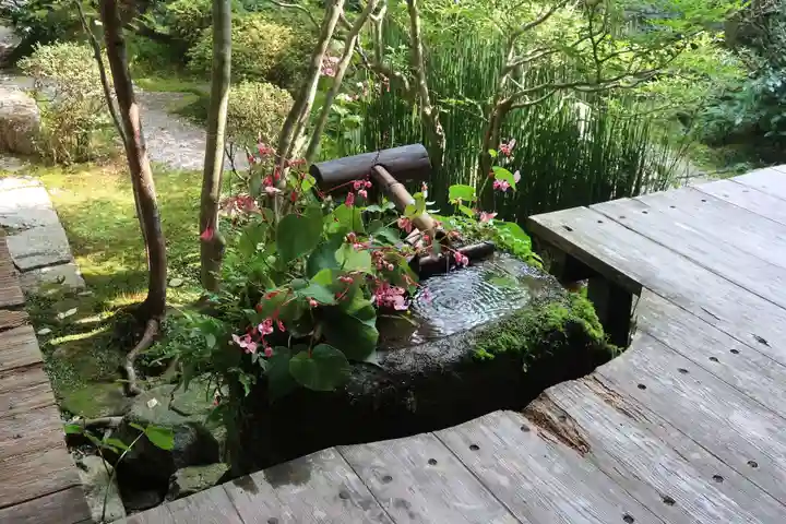 宝泉院(京都府)