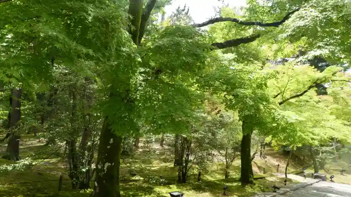仁和寺(京都府)