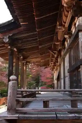 常樂寺(滋賀県)
