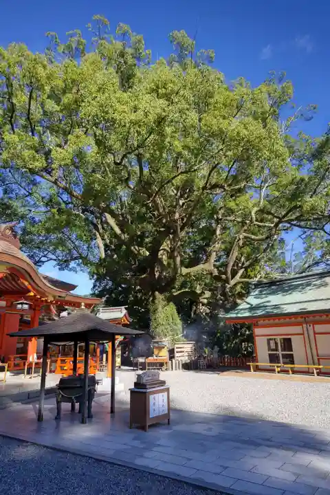 熊野那智大社(和歌山県)