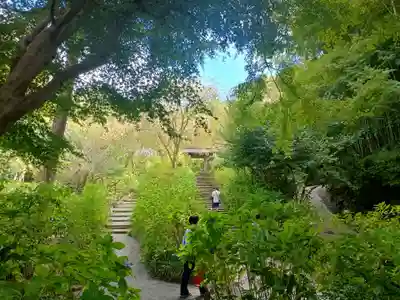明月院(神奈川県)