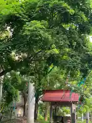 釧路一之宮 厳島神社の建物その他