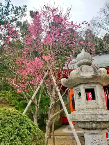 鶴若稲荷神社の{uncategorized: "未分類", other: "その他", undefined: "問題あり", building: "その他建物", grave: "お墓", sacred_gate: "鳥居", guardian: "狛犬", statue: "像", buddha: "仏像", history: "歴史", nature: "自然", garden: "庭園", animal: "動物", pagoda: "塔", temizu: "手水舎", mountain_gate: "山門・神門", sanctuary: "本殿・本堂", subordinate: "末社・摂社", art: "芸術", scenery: "景色", jizo: "地蔵", ema: "絵馬", goshuin: "御朱印", omikuji: "おみくじ", items: "授与品その他", amulet: "お守り", goshuincho: "御朱印帳", eats: "食事", festival: "お祭り", votive_dance: "神楽", shichigosan: "七五三参", wedding: "結婚式", experience: "体験その他", initially: "初詣", around: "周辺", anti_infection: "感染症対策"}
