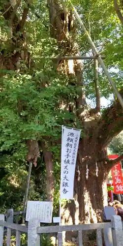海南神社(神奈川県)