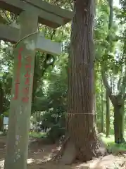 将門口ノ宮神社の自然