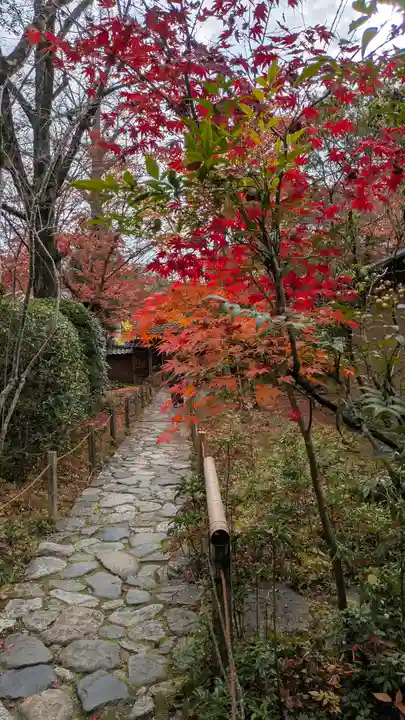 蓮華寺(洛北蓮華寺)(京都府)