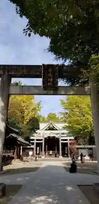 牛嶋神社の鳥居