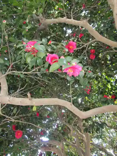 甲宗八幡宮(福岡県)
