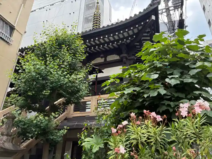 圓頓寺(大阪府)