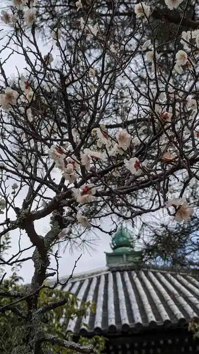 清凉寺(京都府)