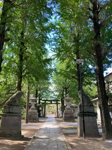 金村別雷神社(茨城県)