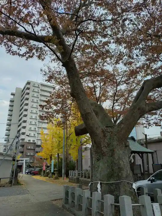 阿邪訶根神社(福島県)