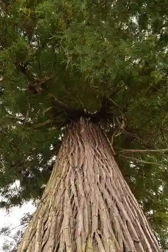 須我神社(島根県)