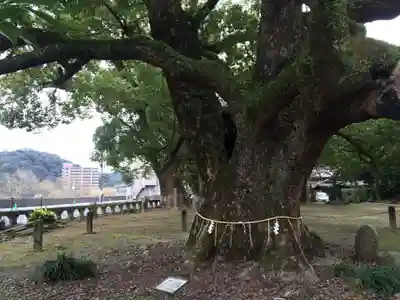 諫早神社（九州総守護  四面宮）(長崎県)