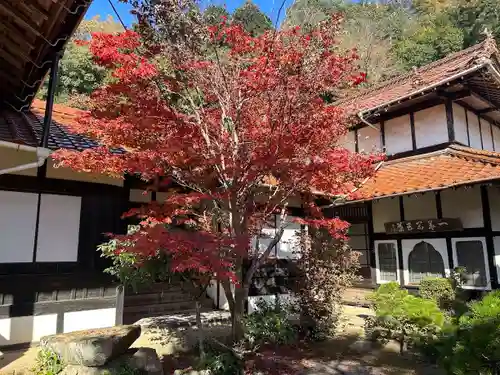 木舟山　順教寺(広島県)