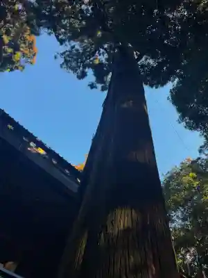 鹿島神宮の{uncategorized: "未分類", other: "その他", undefined: "問題あり", building: "その他建物", grave: "お墓", sacred_gate: "鳥居", guardian: "狛犬", statue: "像", buddha: "仏像", history: "歴史", nature: "自然", garden: "庭園", animal: "動物", pagoda: "塔", temizu: "手水舎", mountain_gate: "山門・神門", sanctuary: "本殿・本堂", subordinate: "末社・摂社", art: "芸術", scenery: "景色", jizo: "地蔵", ema: "絵馬", goshuin: "御朱印", omikuji: "おみくじ", items: "授与品その他", amulet: "お守り", goshuincho: "御朱印帳", eats: "食事", festival: "お祭り", votive_dance: "神楽", shichigosan: "七五三参", wedding: "結婚式", experience: "体験その他", initially: "初詣", around: "周辺", anti_infection: "感染症対策"}