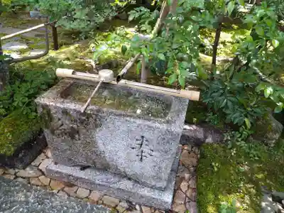 常寂光寺の手水舎