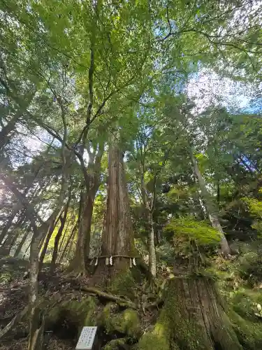 貴船神社奥宮(京都府)