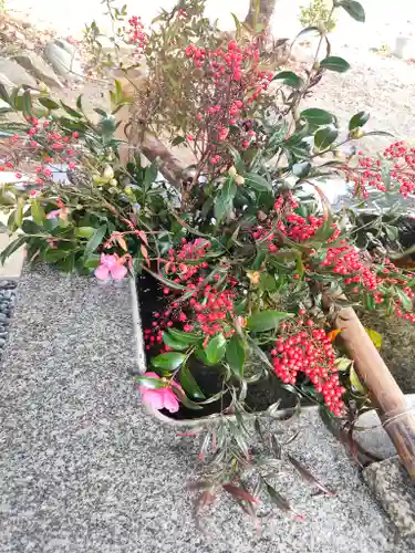 高司神社〜むすびの神の鎮まる社〜(福島県)