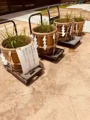 意富比神社(千葉県)
