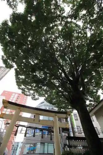 子安神社(東京都)