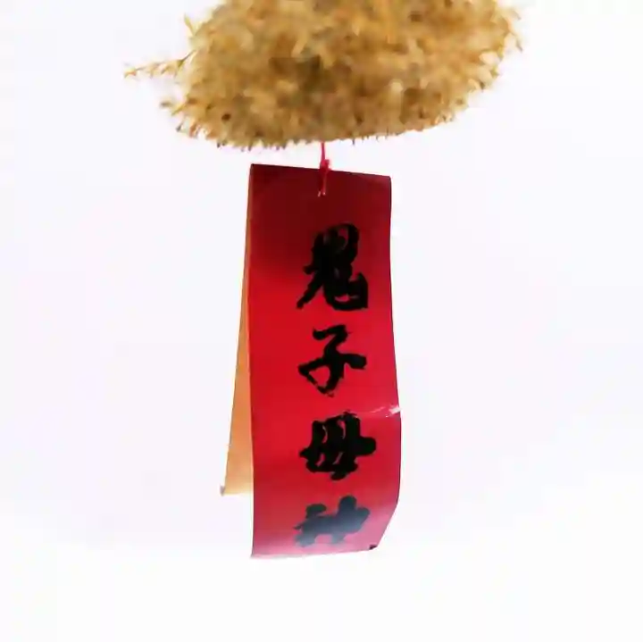 鬼子母神堂 (法明寺)(東京都)