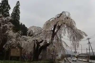 法善寺(埼玉県)
