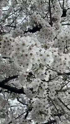 日蓮宗　浄運寺(東京都)