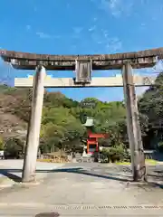 今山八幡宮の鳥居