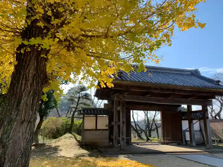 観音寺(中舘観音寺)の山門・神門