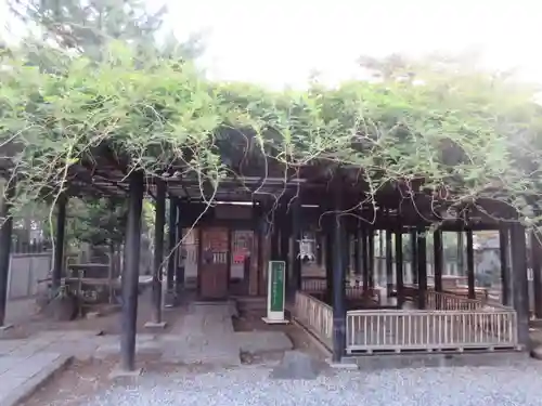 葛井寺(大阪府)