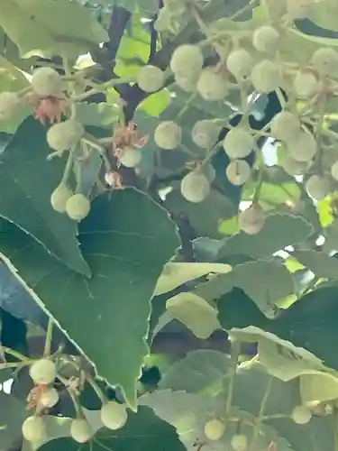 真正極楽寺（真如堂）(京都府)