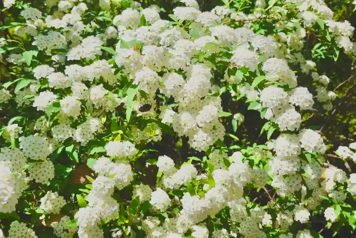 海龍王寺(奈良県)