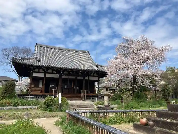 般若寺 ❁コスモス寺❁(奈良県)