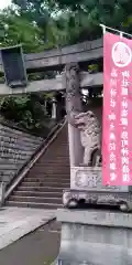 品川神社の狛犬