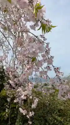 圓光寺(京都府)