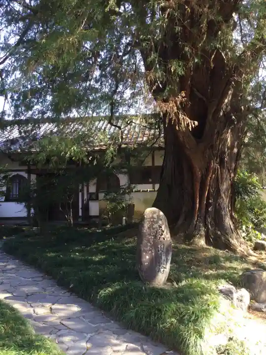 崇禅寺のその他建物