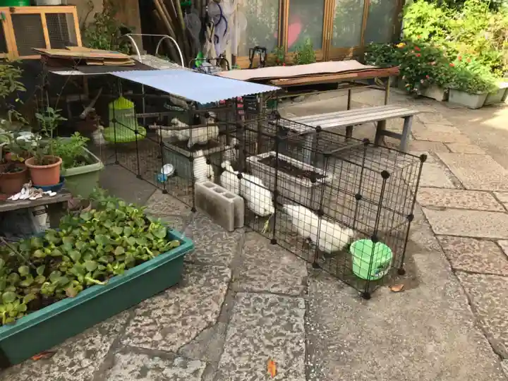 榮久山大法寺の動物