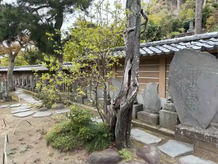 円覚寺(神奈川県)
