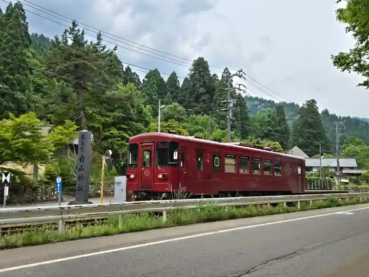 白山神社(長滝神社・白山長瀧神社・長滝白山神社)(岐阜県)