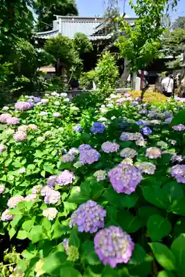 白山神社(東京都)