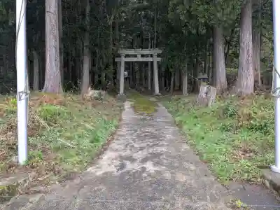 白山神社の{uncategorized: "未分類", other: "その他", undefined: "問題あり", building: "その他建物", grave: "お墓", sacred_gate: "鳥居", guardian: "狛犬", statue: "像", buddha: "仏像", history: "歴史", nature: "自然", garden: "庭園", animal: "動物", pagoda: "塔", temizu: "手水舎", mountain_gate: "山門・神門", sanctuary: "本殿・本堂", subordinate: "末社・摂社", art: "芸術", scenery: "景色", jizo: "地蔵", ema: "絵馬", goshuin: "御朱印", omikuji: "おみくじ", items: "授与品その他", amulet: "お守り", goshuincho: "御朱印帳", eats: "食事", festival: "お祭り", votive_dance: "神楽", shichigosan: "七五三参", wedding: "結婚式", experience: "体験その他", initially: "初詣", around: "周辺", anti_infection: "感染症対策"}